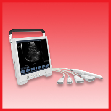 Ultrasound Machine (Portable)